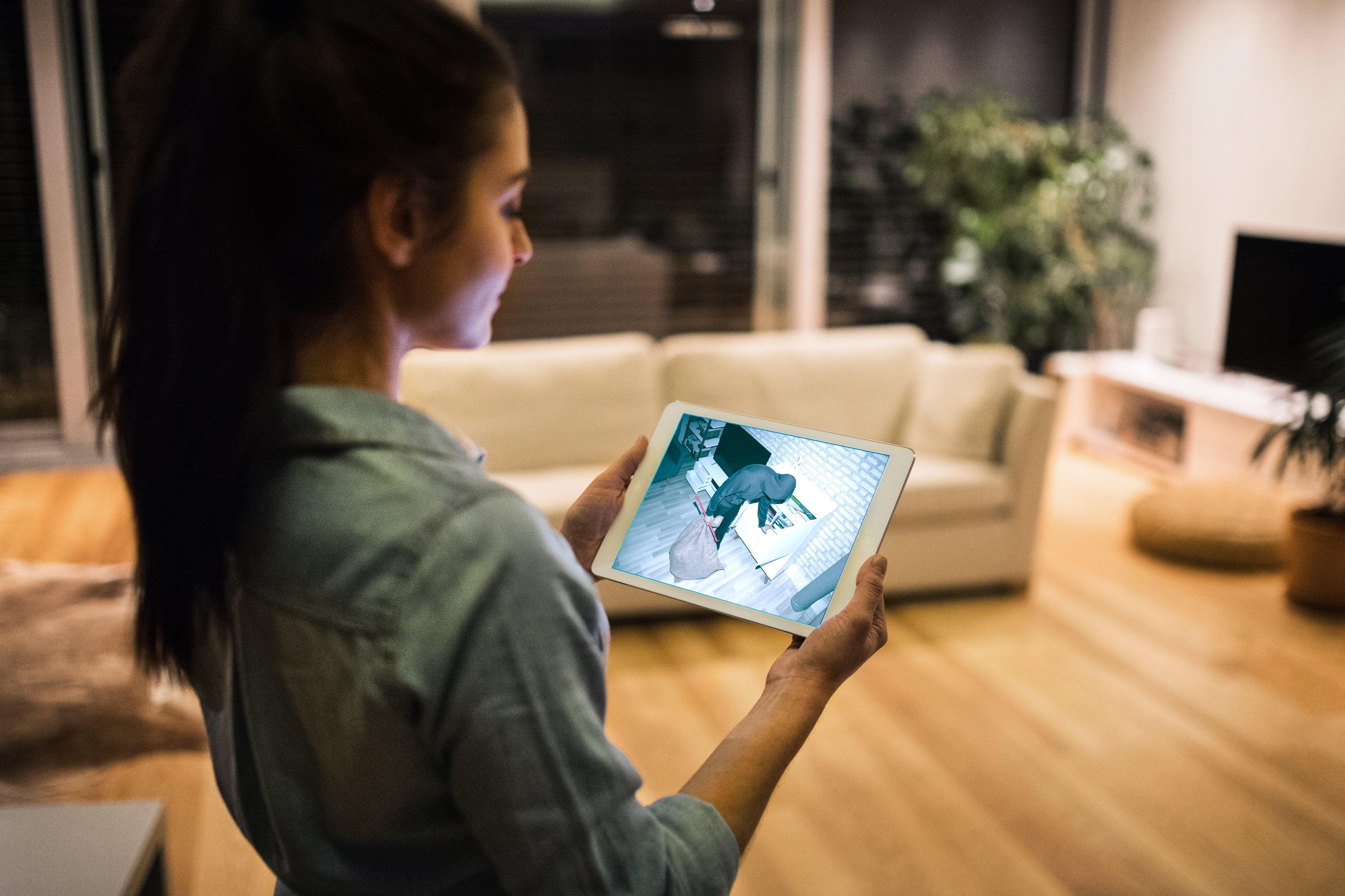 Productafbeelding 10