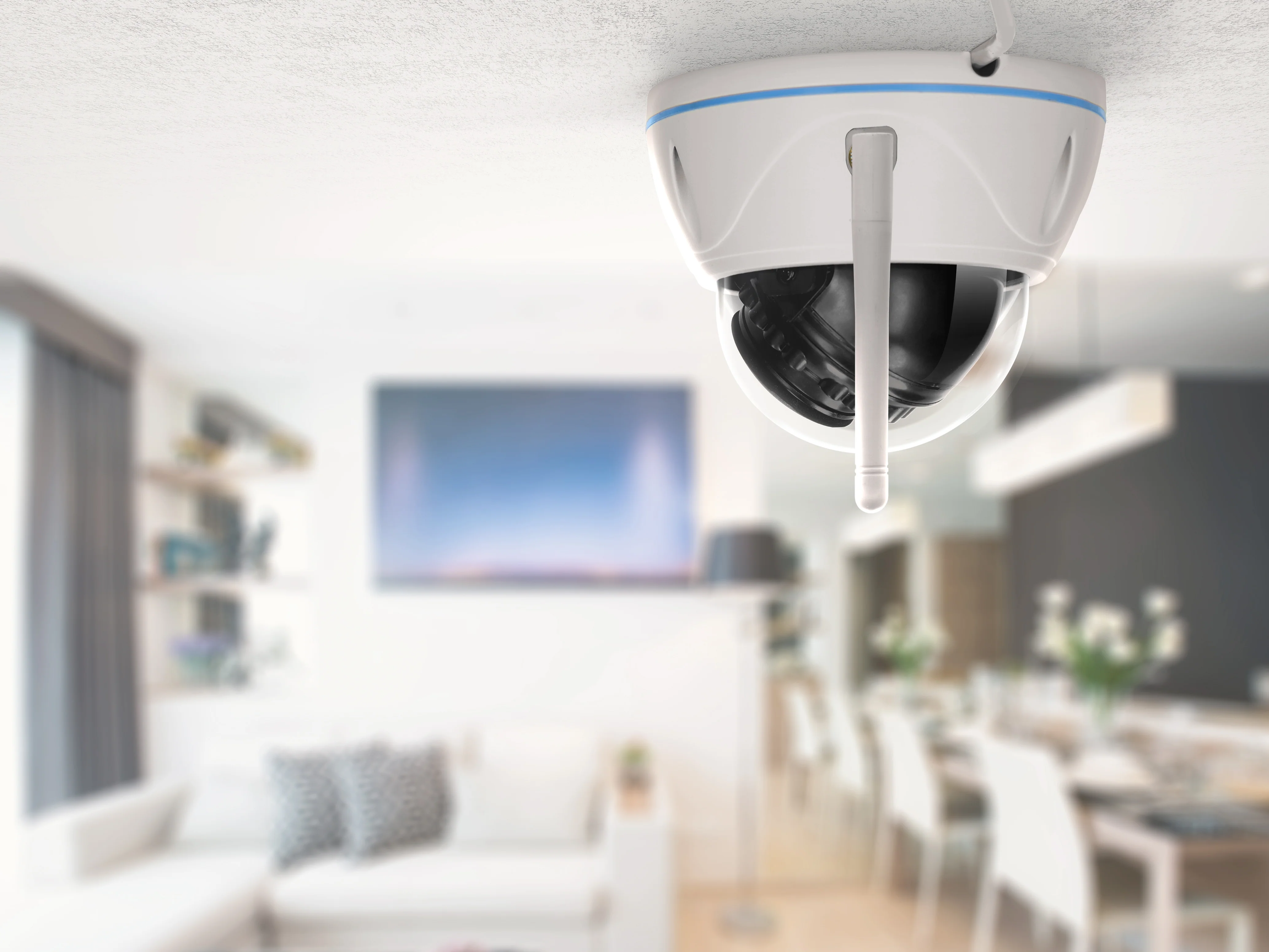 Productafbeelding 13