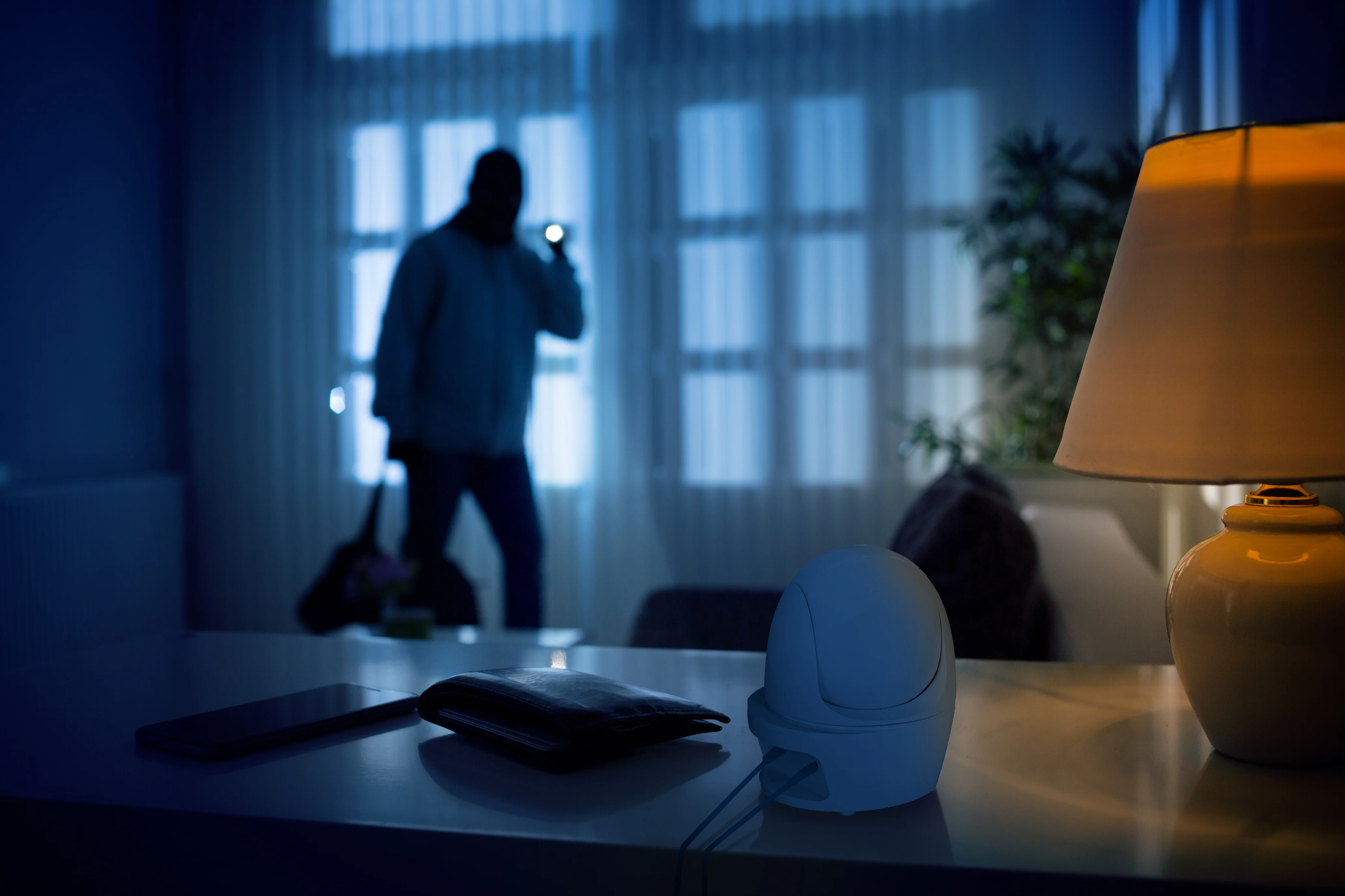 Productafbeelding 11