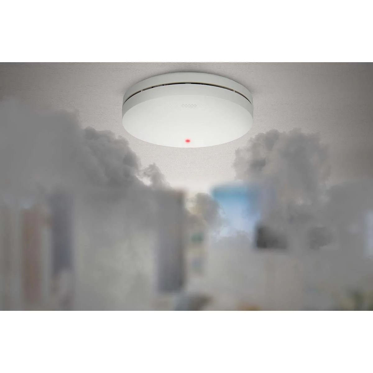 Productafbeelding 10