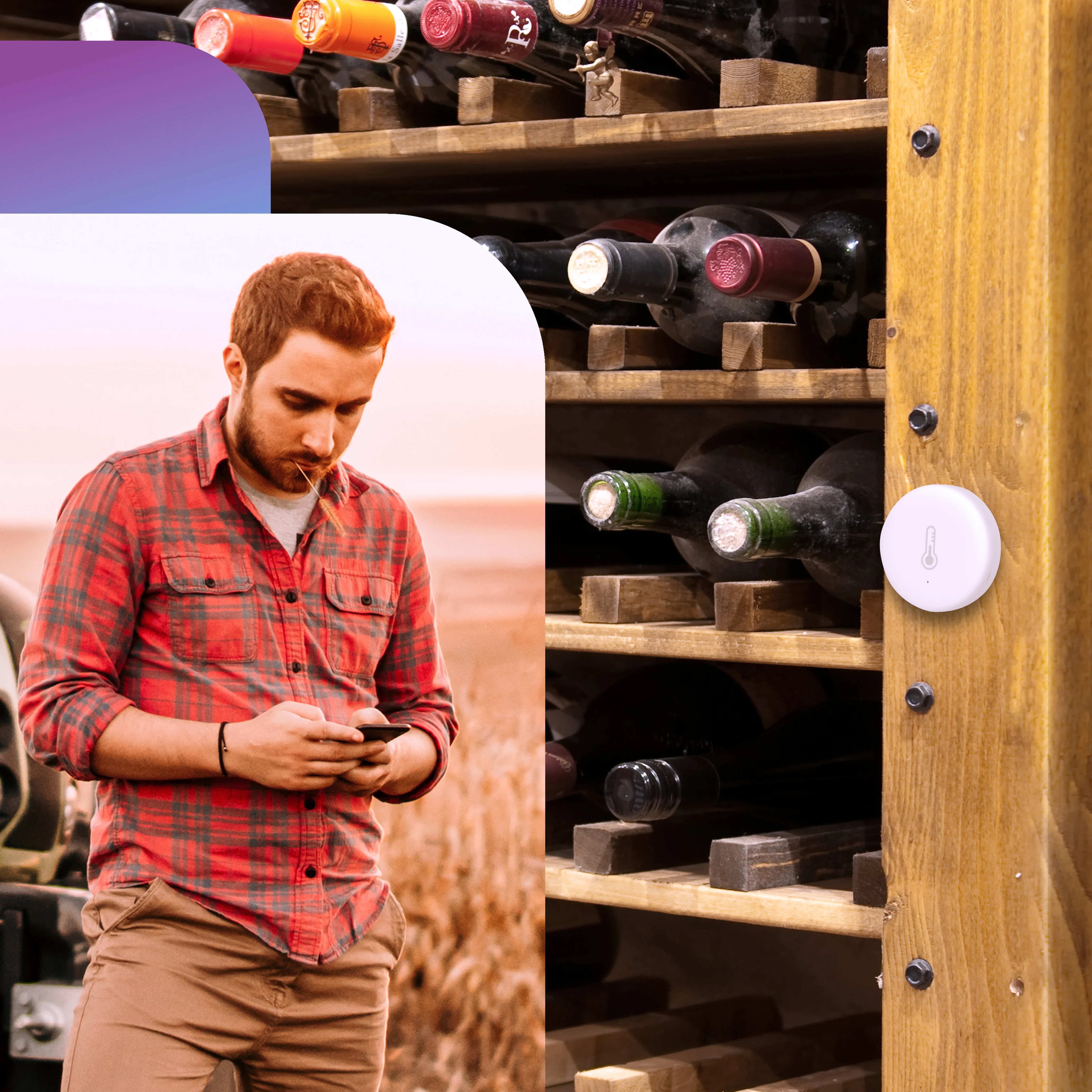 Productafbeelding 12