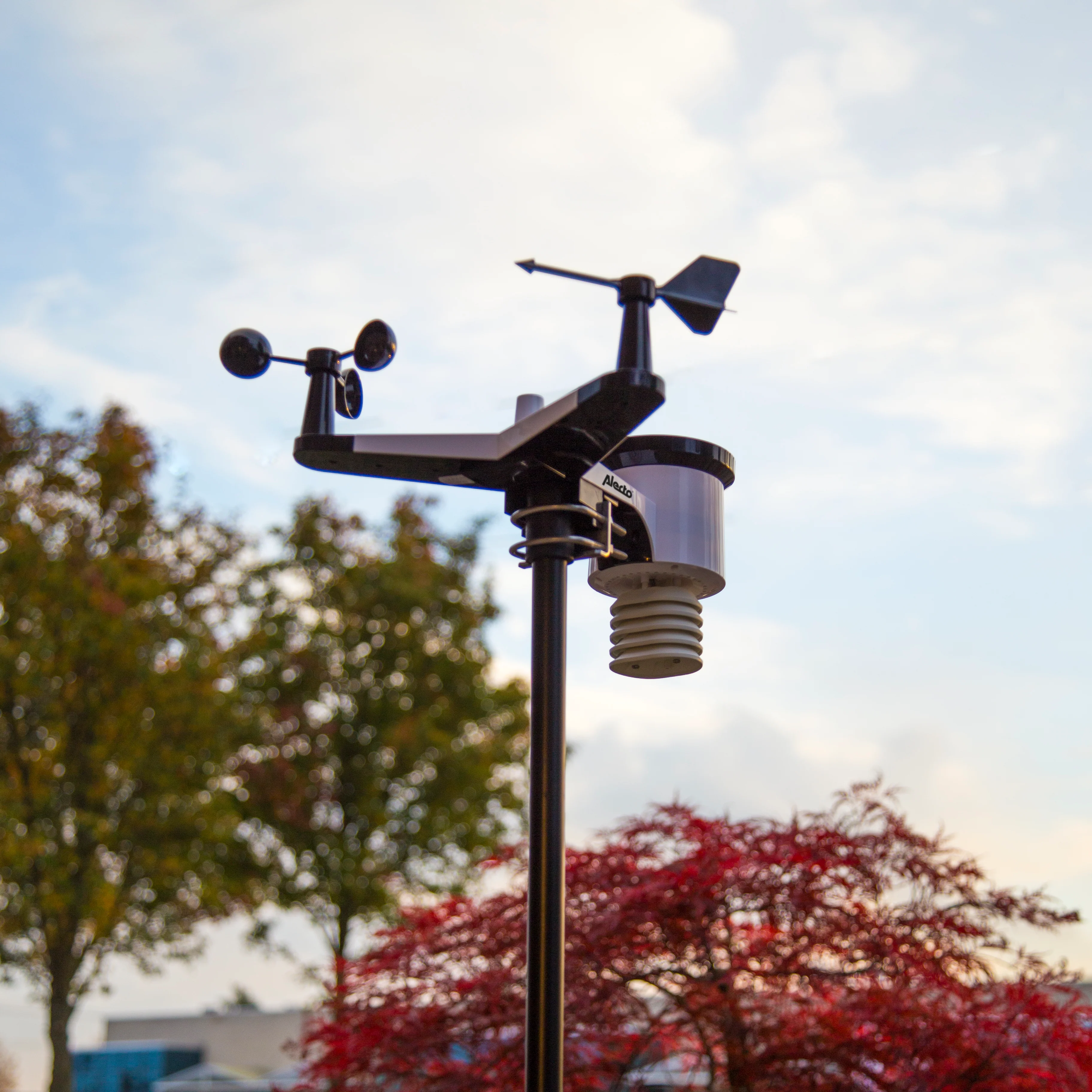 Productafbeelding 18