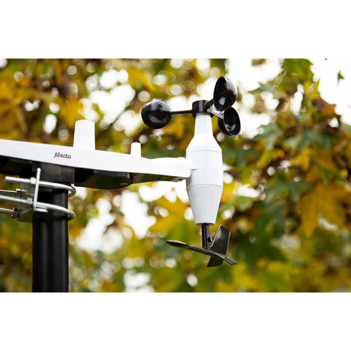 Productafbeelding 13